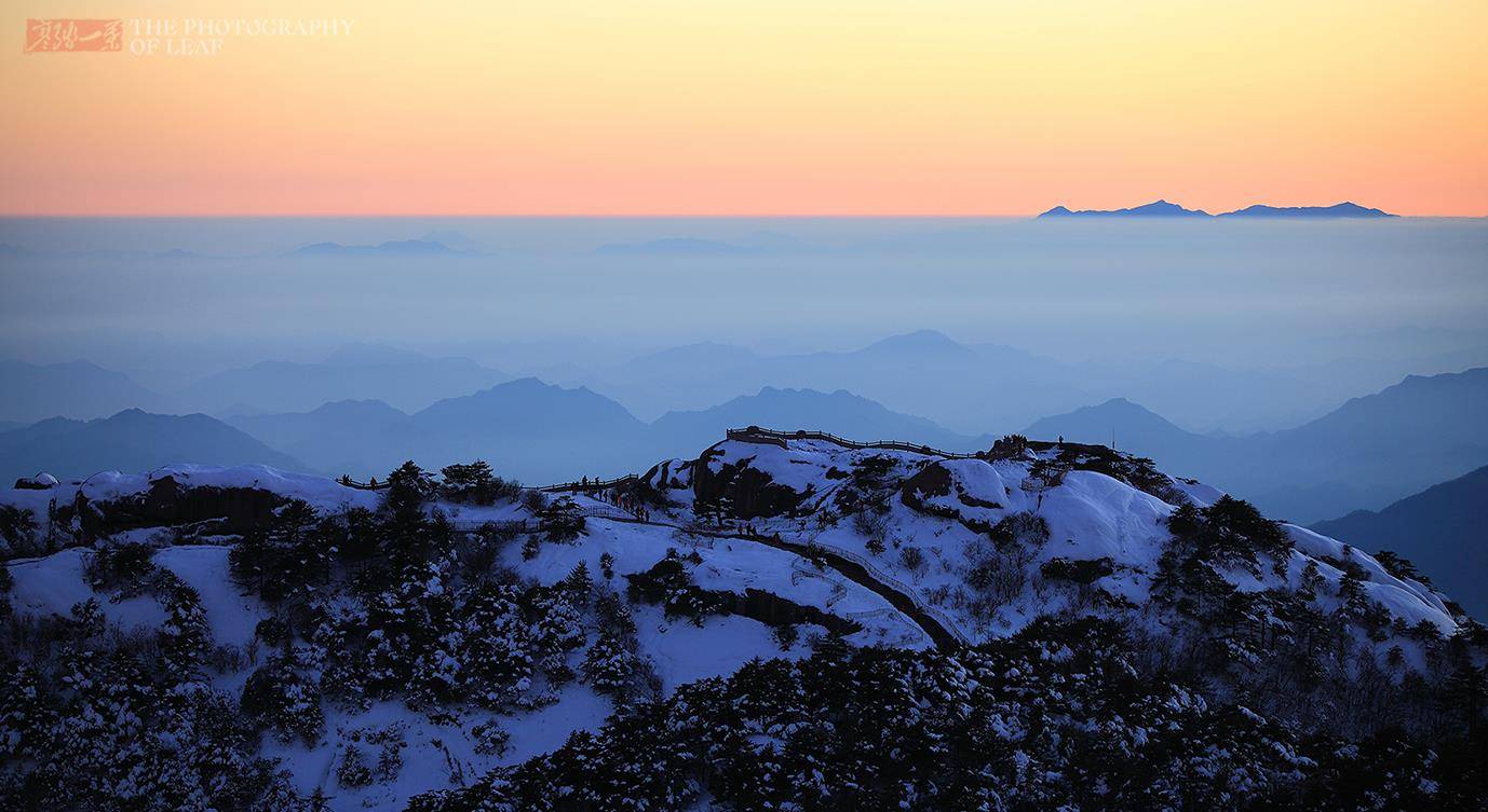 迎客松是黄山标志，100多年仍保持同一造型，有人说这是棵假树