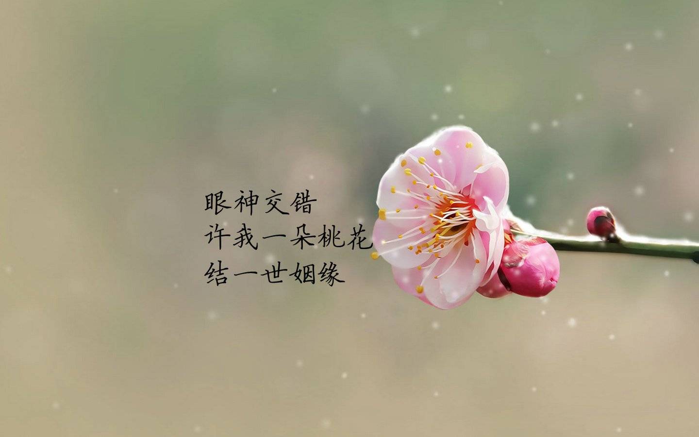 2021年前半年,缘定终身,幸福美满,令人羡慕的星座!