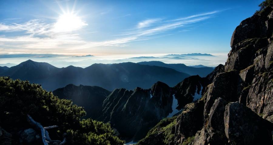 家电业打响新年第一枪，美的方太海尔格力海信三星等硬核升级-家电圈官网