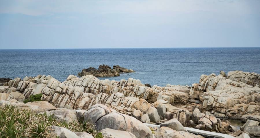 缺什么补什么这或是家电业未来的大道!-家电圈官网