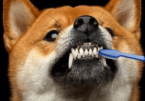 9ff30fa3d5e84e8986749a22719754b4.png