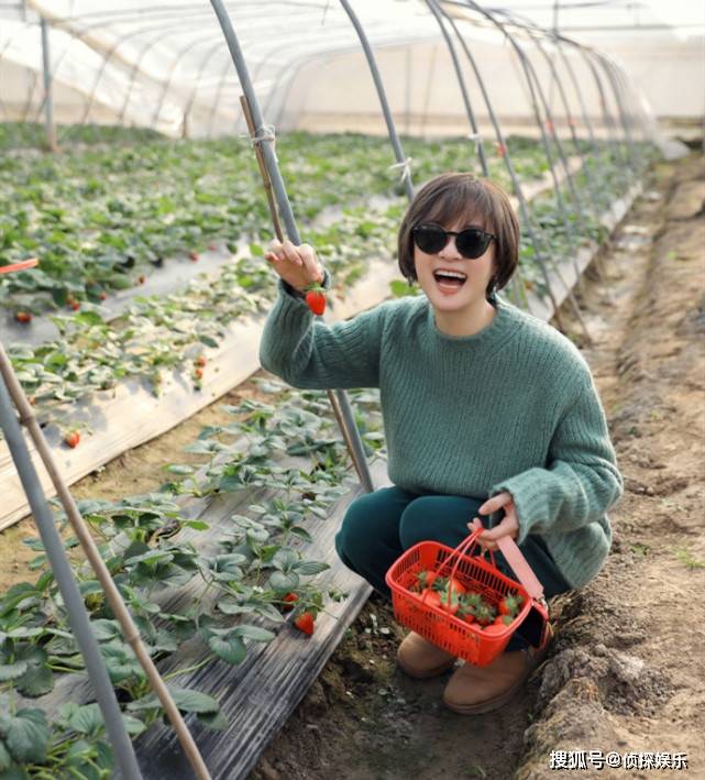 孙俪晒老公视角美照甜如少女，邓超单膝跪地为