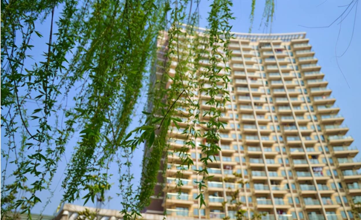 江西省大学排名2020_江西公办高校最新排名,江西财经跻身前三,华东交排