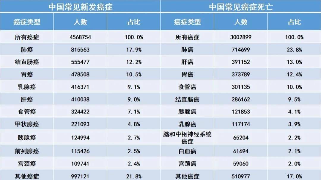 2020年中国人口死亡数量_2020年中国人口结构图