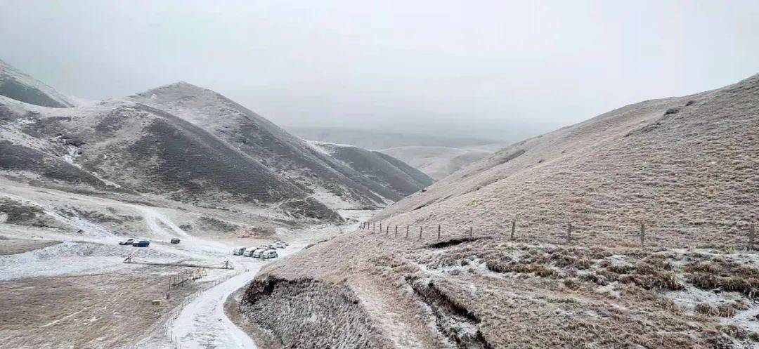 云南喜迎2021第一场雪,曲靖大海草山变雪山,冰雪乐园出现