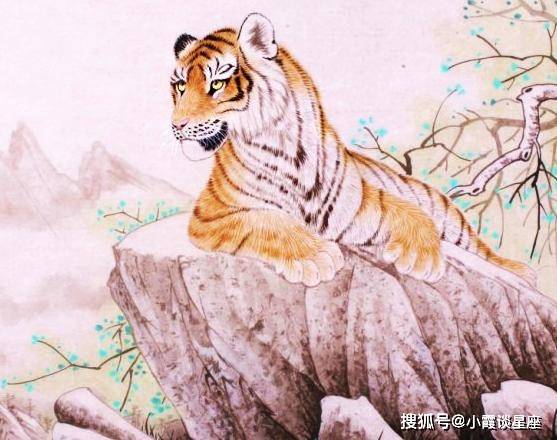 小身隐在三当家，四方下速回到来是什么生肖动物，权威解释说明