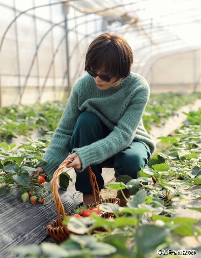 孙俪晒老公视角美照甜如少女，邓超单膝跪地为