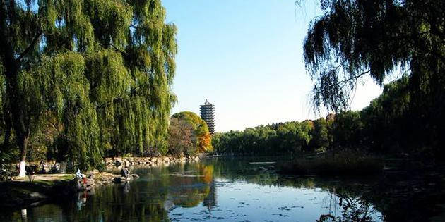 计算机科学专业排名-资讯搜索_聚焦宁诺专业|人工智能时代,计算机专业受(2)