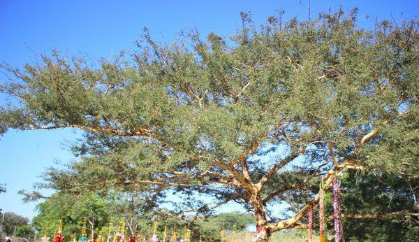 2021东南亚人均gdp最低_人均gdp世界排名