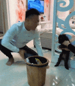 为了教育狗子,这哥们脸都肿了