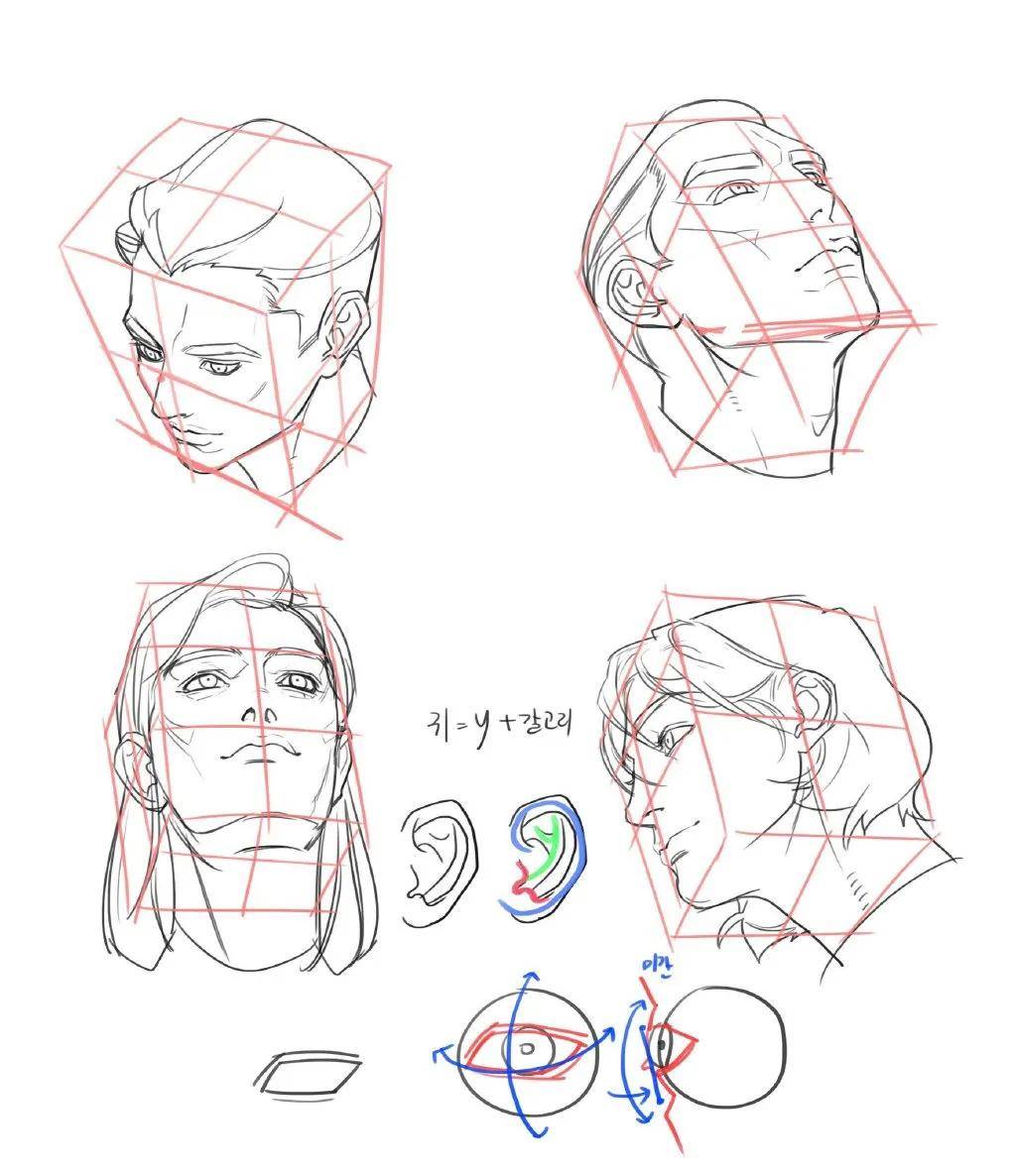 板绘头部不同角度与动态的画法