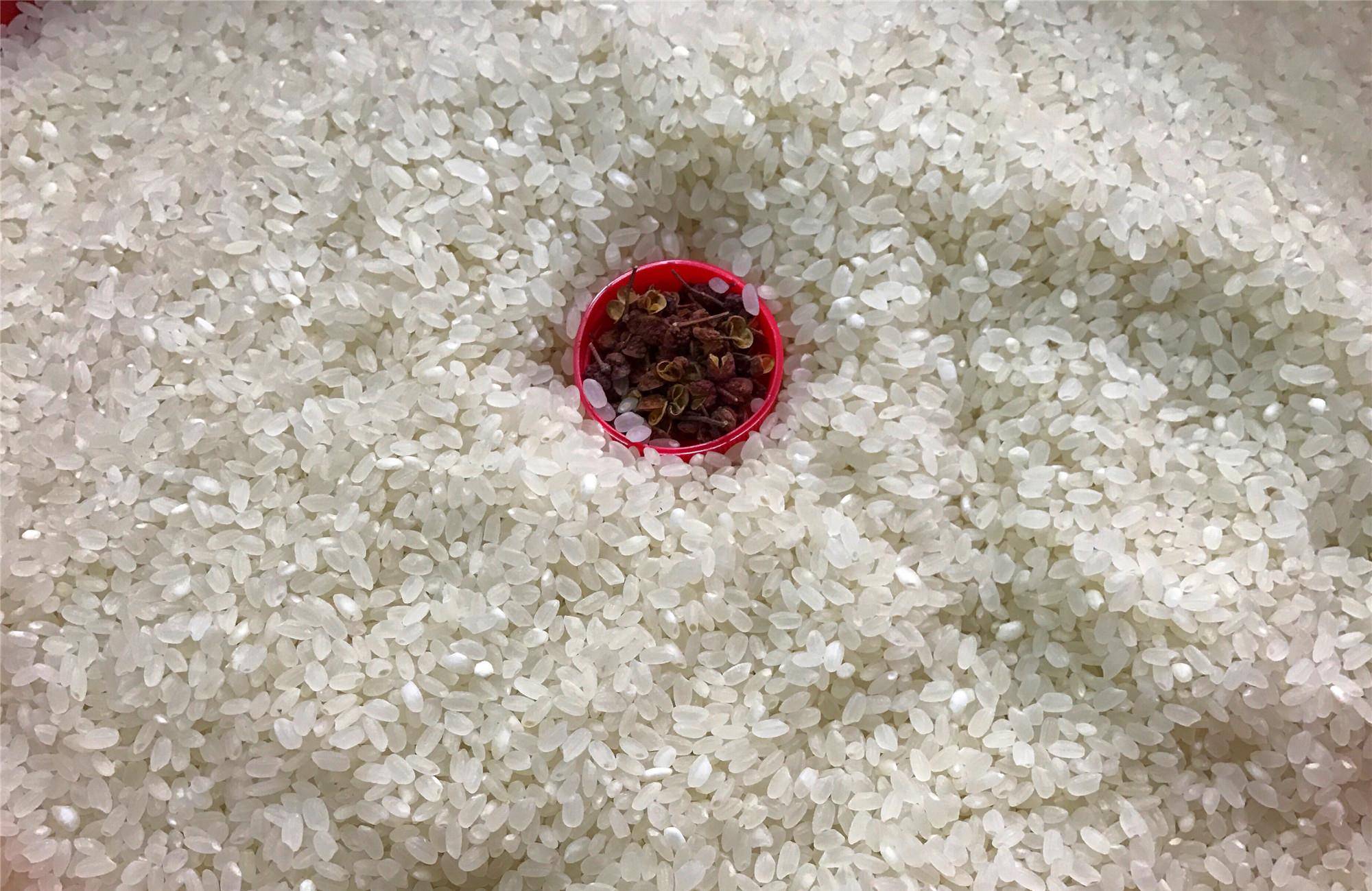 真空大米可以存放多久（如何防止大米发霉长虫的方法） - 米圈号