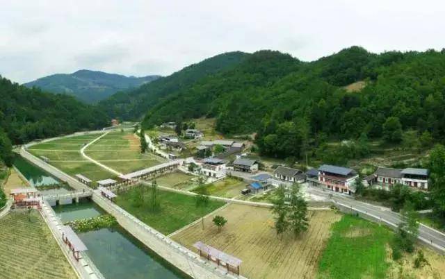 位于青川县蒿溪回族乡炭河村和乐安寺乡向阳村的仙雾茶海 十的艰辛