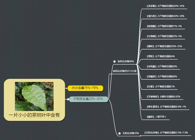 这一片片小小的树叶中,蕴含着大大的乾坤,茶叶内含物质的秘密_手机