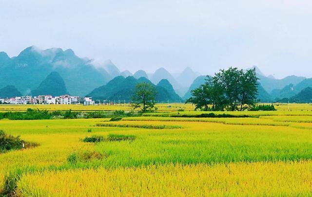 道县多少人口_道县一中照片(3)