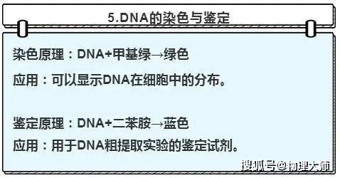 实验原理主要写什么作用_我是少年主要写什么(2)