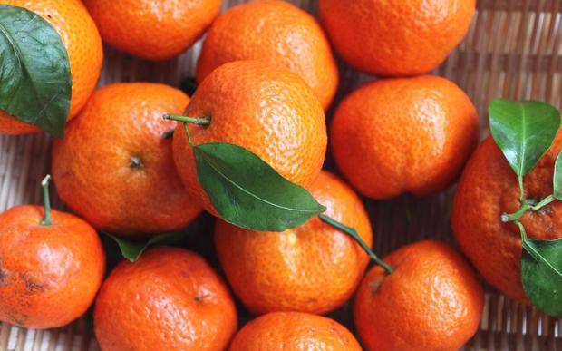 如何挑选大果砂糖橘 793bb6ce24fd4fe1a3733ce2cd0c1fb8.jpeg