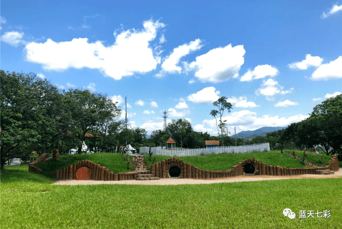 广州超火森林营地，1.5小时车程，体验丛林野奢，一票畅玩N个亲子项目！