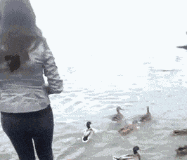 搞笑gif妹子你这个衣服好漂亮啊一闪一闪亮晶晶满眼都是小星星