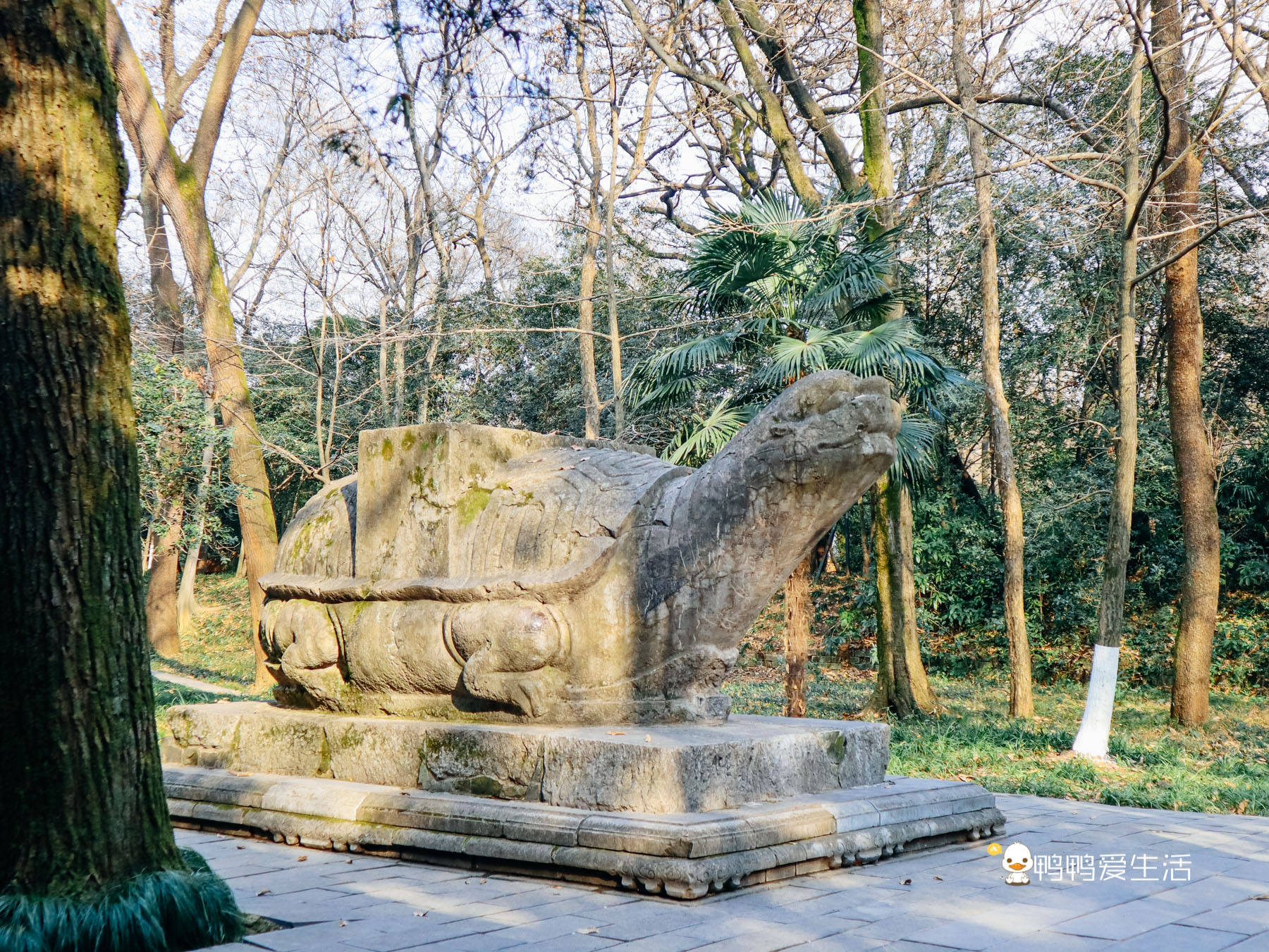 南京明朝古寺,原建筑仅存无梁殿,殿前石龟趺来历不明成谜团!