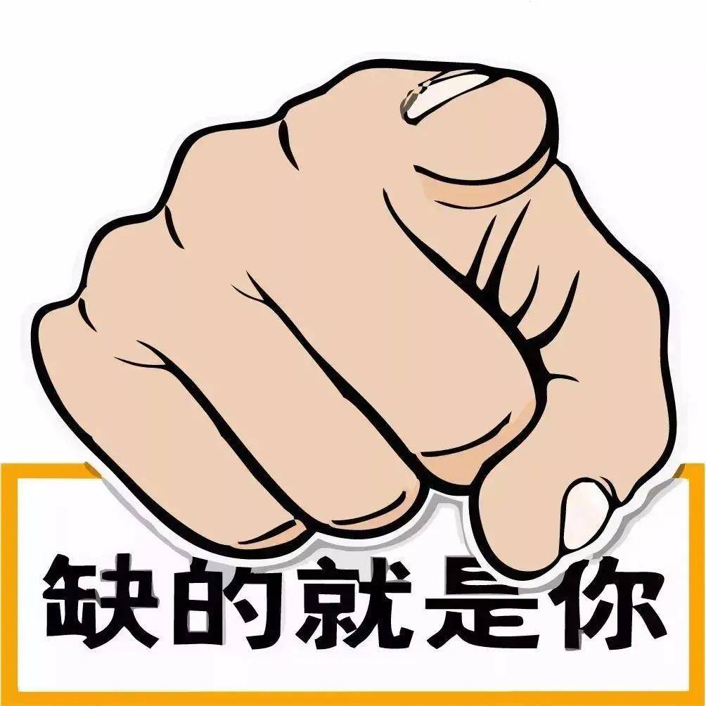 招人啦!成邦集团"拍了拍"你