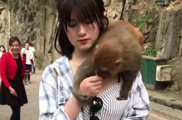 进山游玩却遭猴子上身抢食,下一秒美女不淡定了_手机