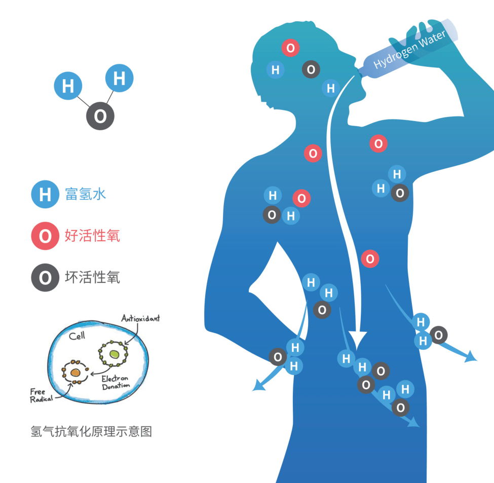 孙学军教授答疑氢水怎么能治疗疾病ppm是什么含义吸氢和喝氢水区别