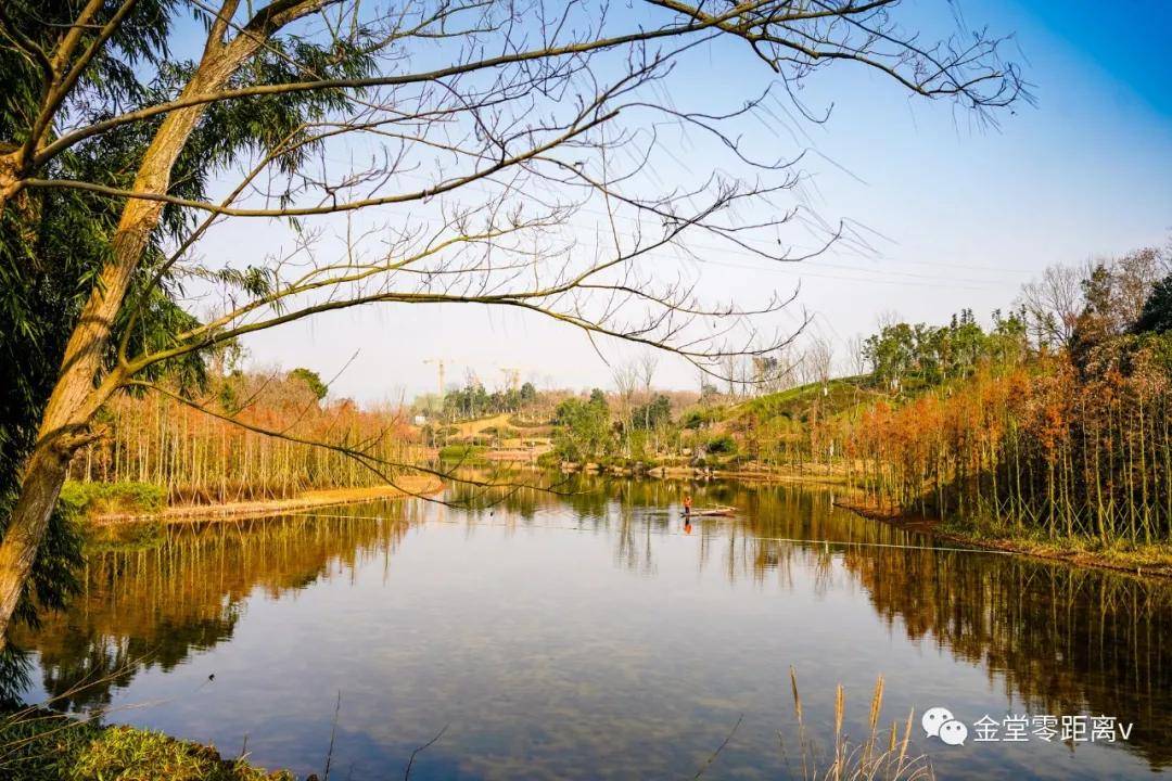金堂最大的湿地公园即将全面开放!