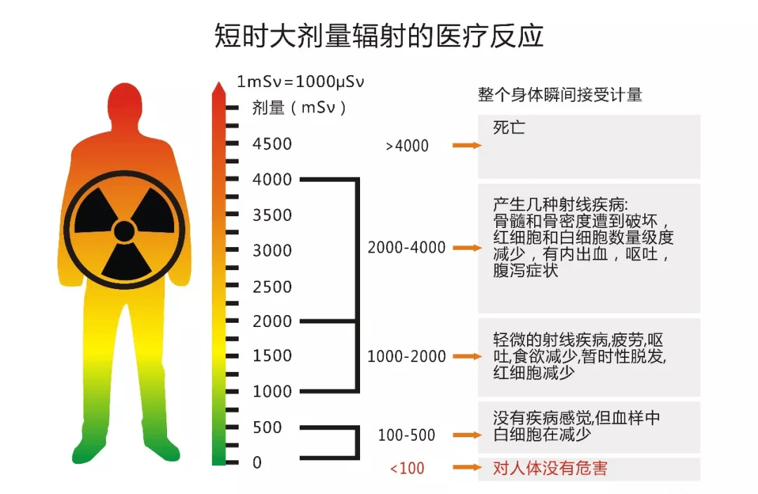 反复接受ct扫描的患者辐射风险评估!_手机搜狐网