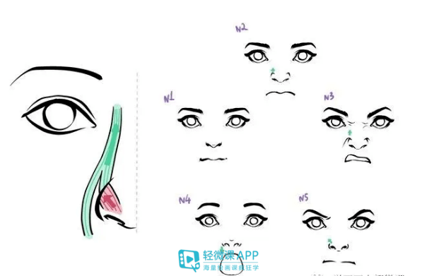 如何画好五官?画好动漫人物五官教程