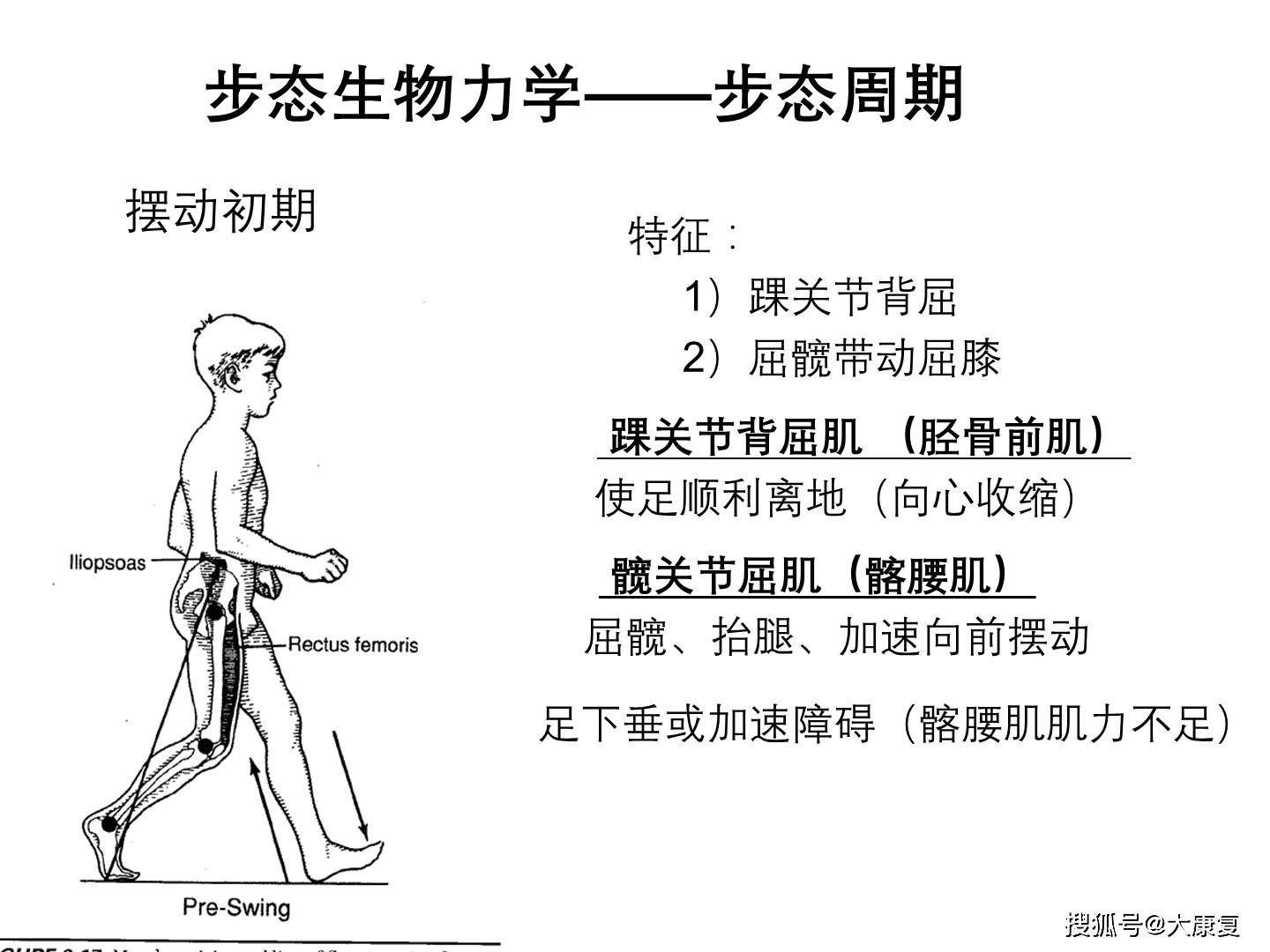 步态生物力学