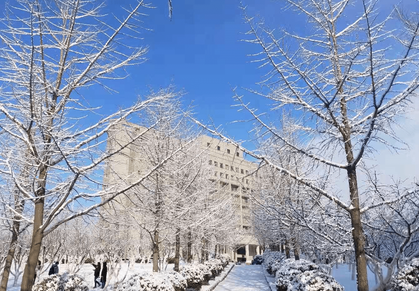 东北财经大学包机送大学生回家,网友点赞:感谢祖国和学校_东财