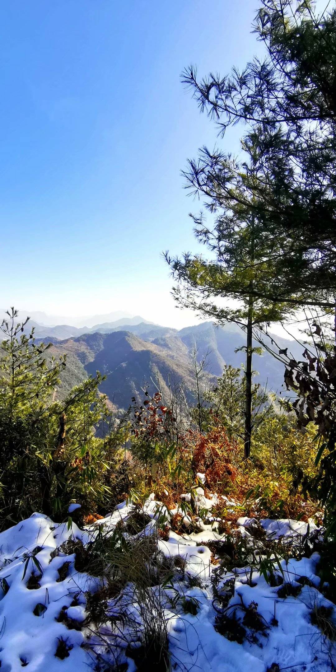 广元尖山子海拔1700米,层峦叠嶂千峰竞秀,来回两个半小时!