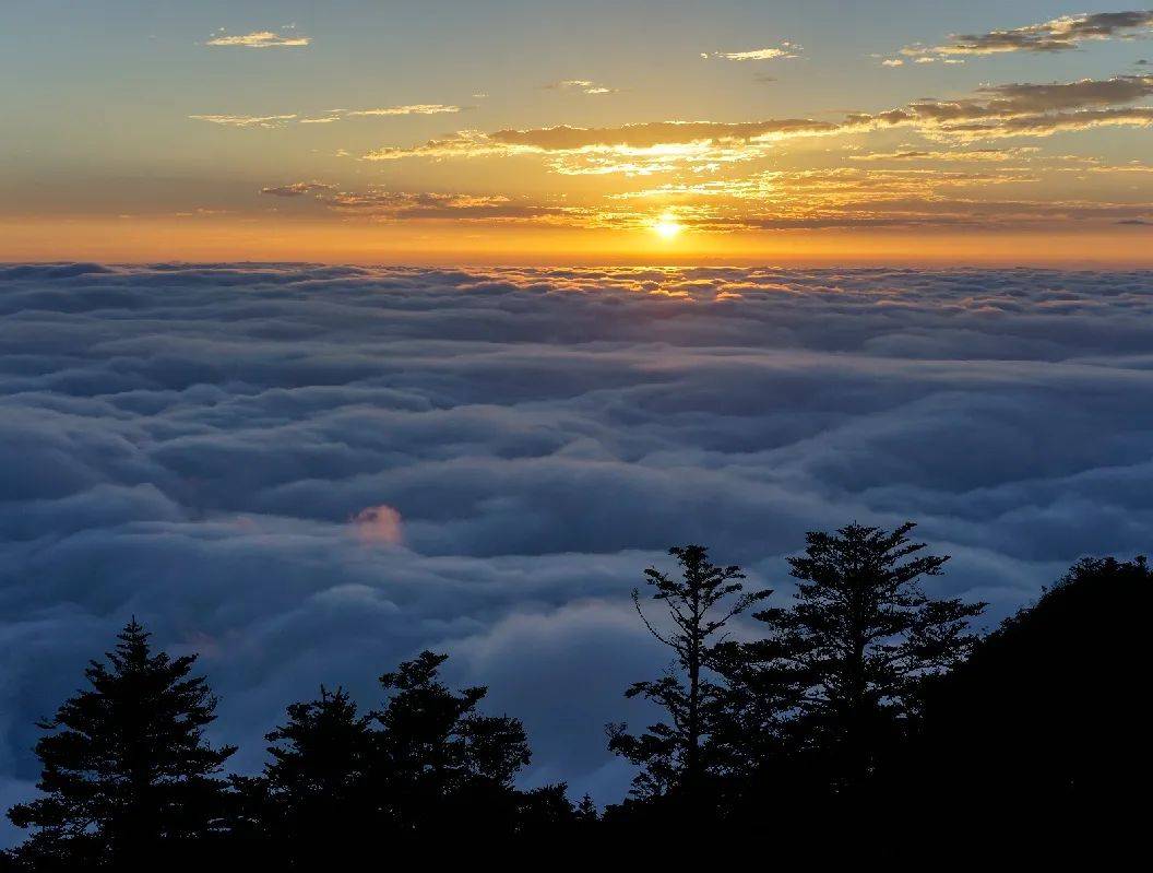 (西岭雪山—成都唯一一个能泼水成冰的地方) 千姿百态的云海与日出