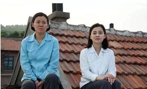 出演过《过年回家《五号特工组《娘《父母爱情《搭错车》