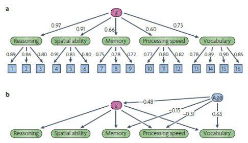g factor(g因子),一般心智能力,即我们常说的iq的前身,由spearman于