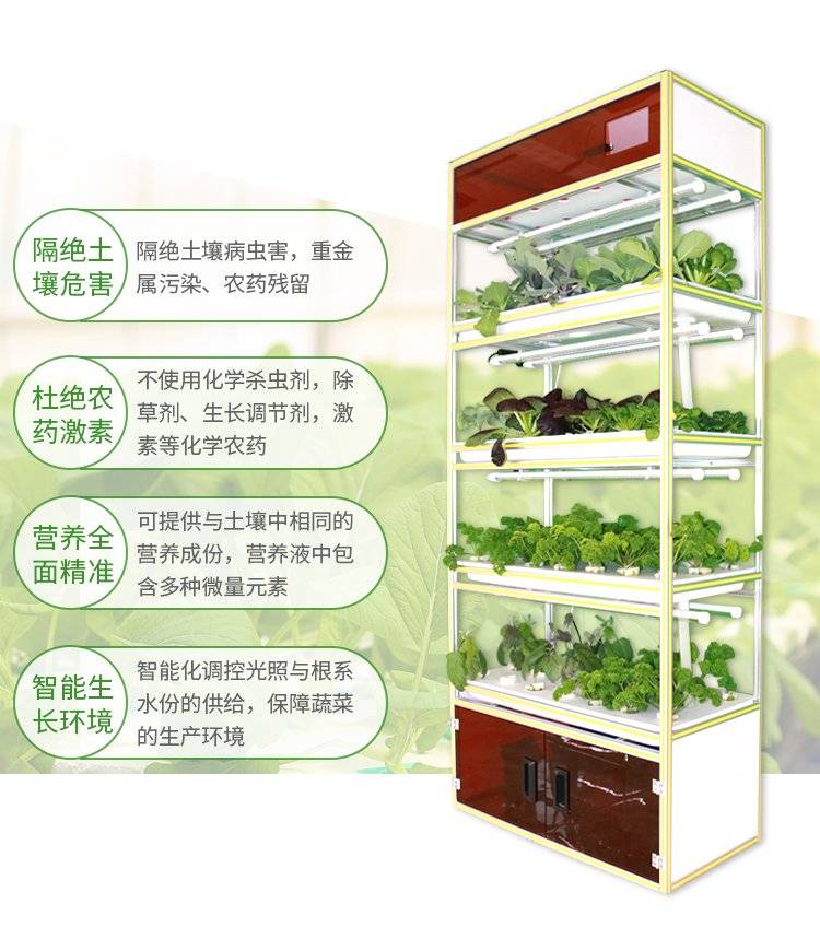 禧多股份室内蔬菜种植机,这个年货可以有