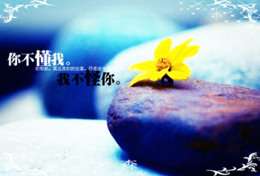 心疼你的心疼什么意思的简单介绍