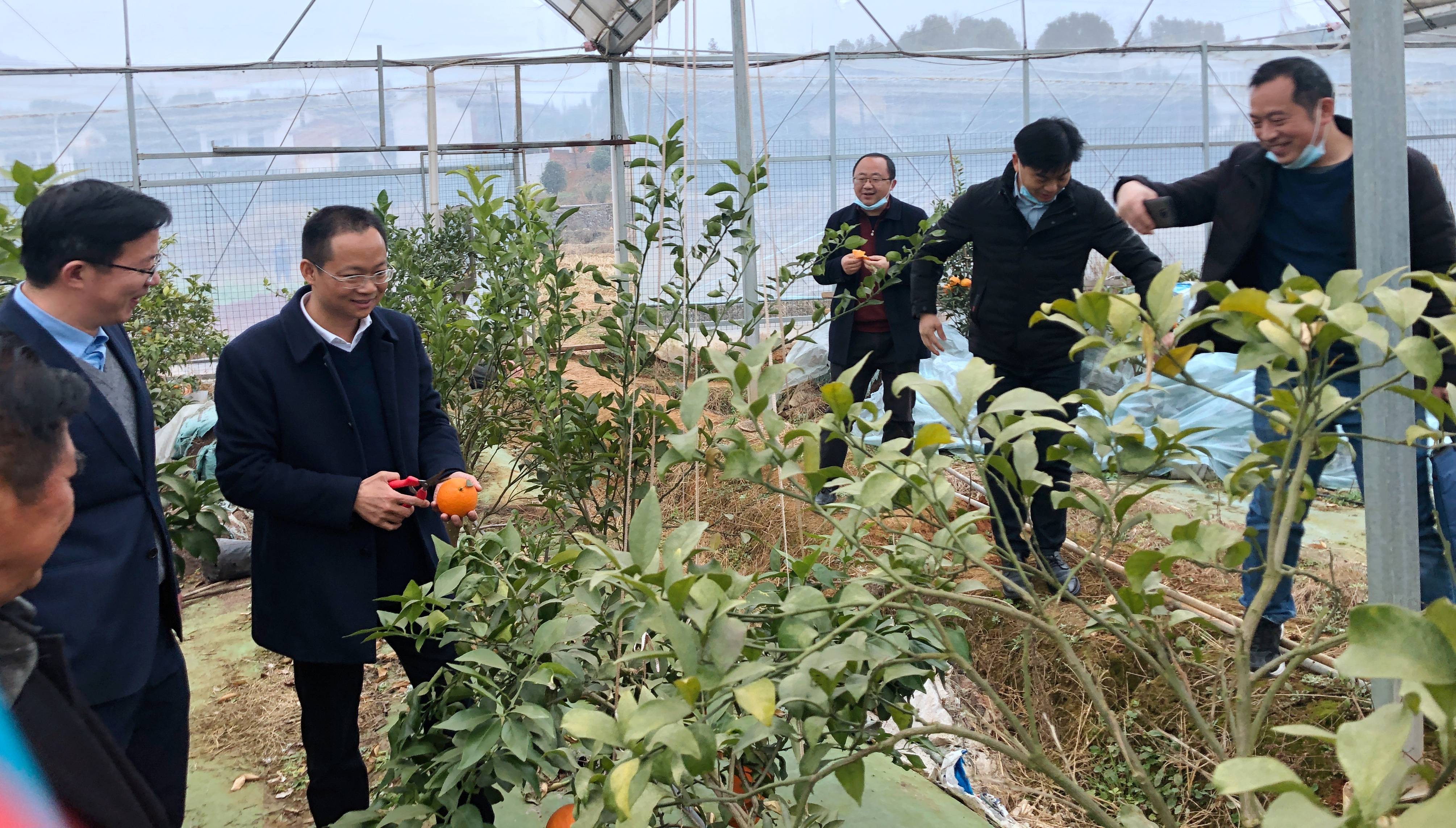 湘赣红为湘南红插上翅膀助力企业腾飞—王坤球副市长调研湘南红