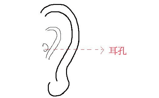 耳孔非常小