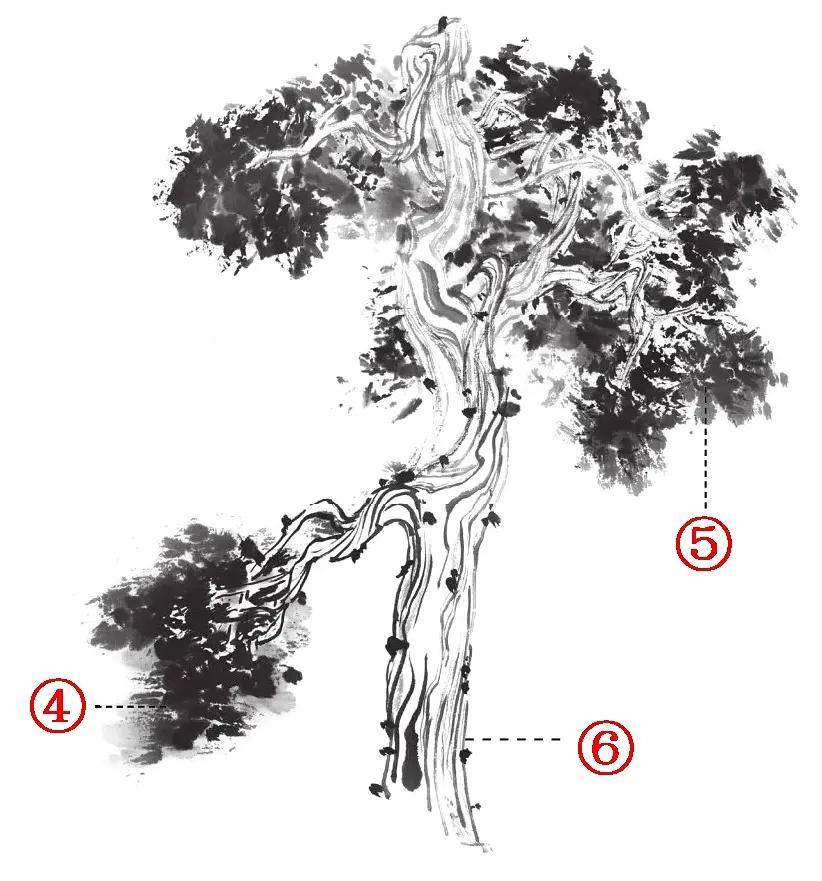 图文教程:柏树画法三例