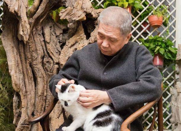 马未都将他的猫写成了书,还猫言猫语道:过年不出门,猫