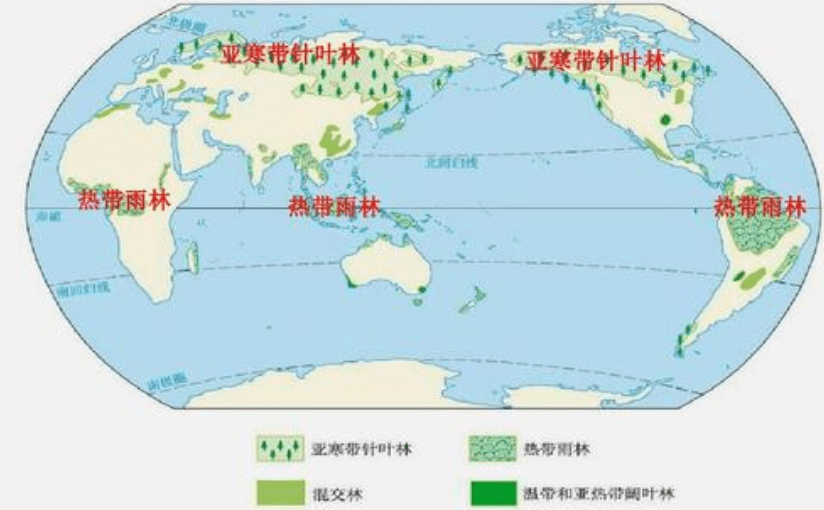 原创亚马逊雨林被称为人类禁区为什么不敢去里面到底有多恐怖