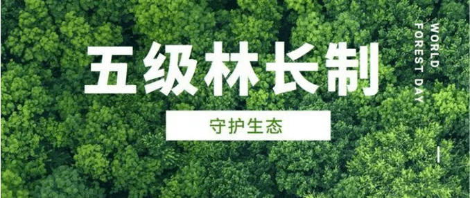 以林长制力促林长治