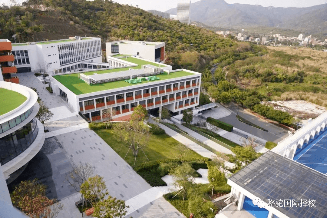 广东择校华润小径湾贝赛思发布20212022学年招生信息招收g5g9新生