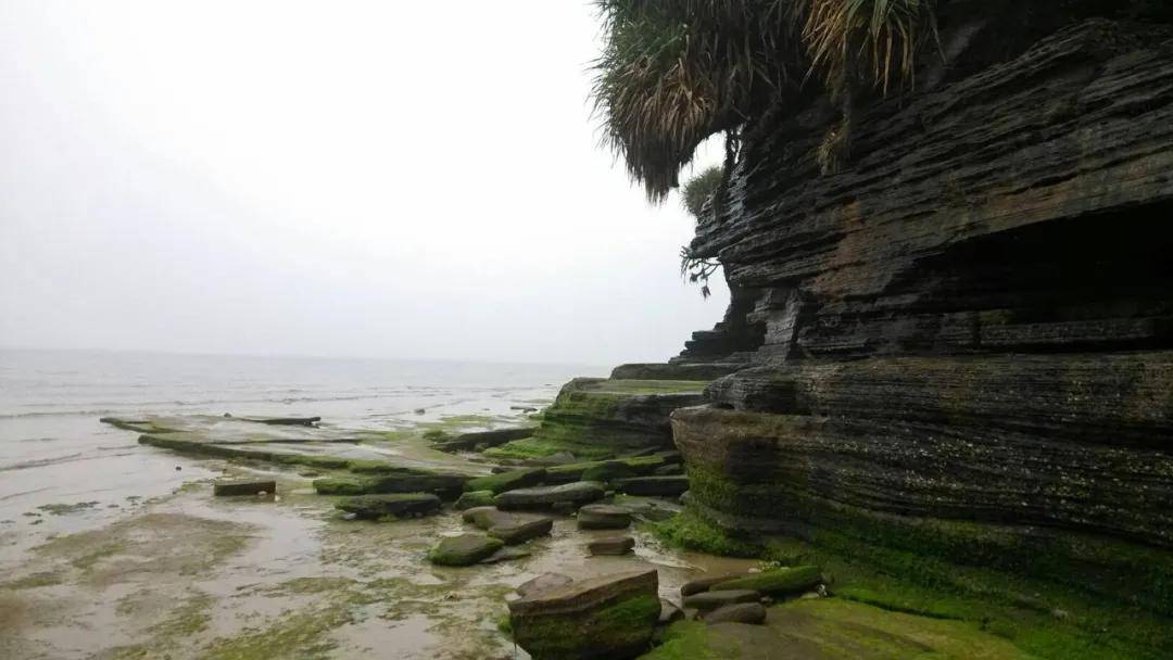 扩展| 常考的海岸地貌有哪些?