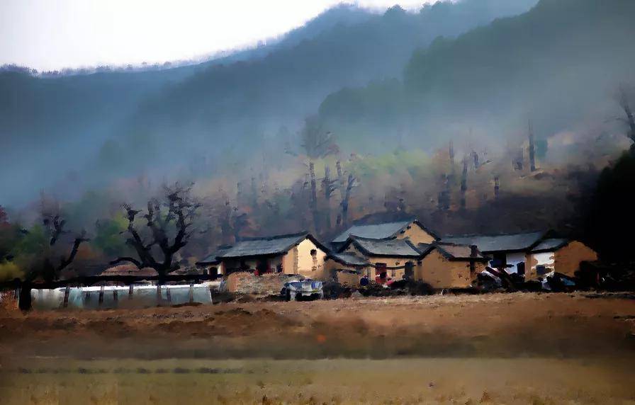 那时塬上村子基本由土房,土路,黄土地构成底色,白杨,梧桐等大大小小