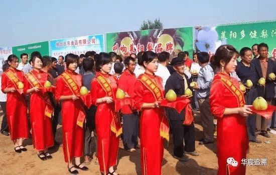 驰名中外的莱阳梨不只出现在国宴上更是莱阳特色活动的重要名片