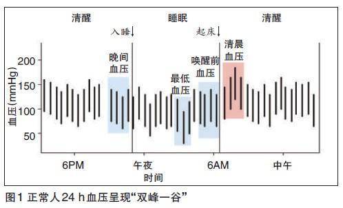 什么时间测血压比较准关注这4个时间点不然测了等于白测