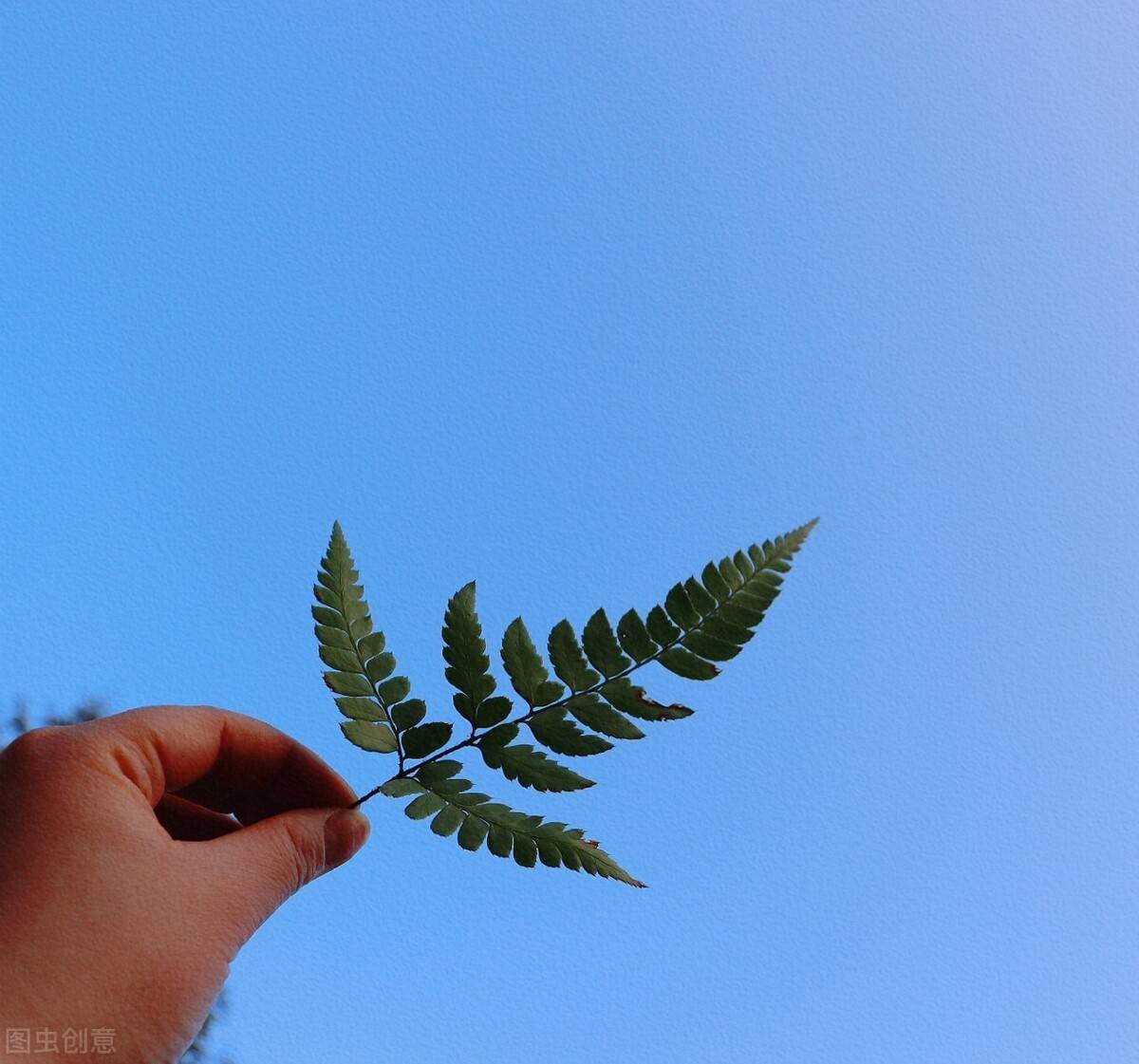 而我们每个人这一生中,都不可避免地会遇见6种苦,一旦熬过去,就会